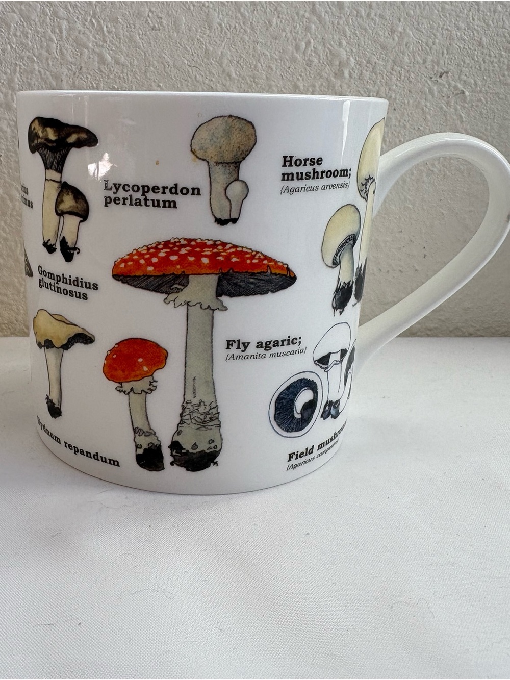 Fungi coffee mug